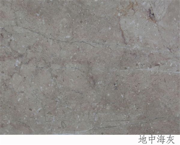 地中?；?/>
                              </div> 
                              <p class=